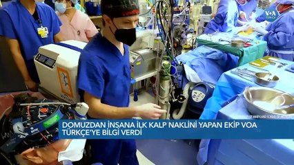 Domuzdan Kalp Nakli Organ Bekleyenlere Umut Oldu