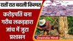 Bihar: Kishanganj में गरीब Woodcutter बना करोड़पति, SDM ने दिए जांच के आदेश | वनइंडिया हिंदी