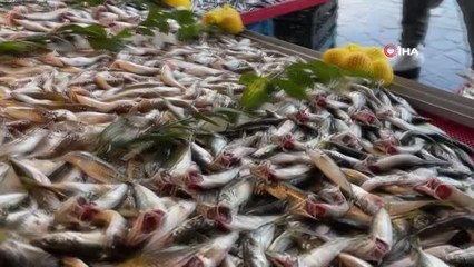 Kar yağdı, balık tezgahları şenlendi