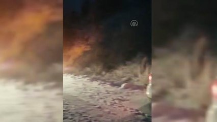 Sultanhisar'da kar yağışı nedeniyle araçlarla yolda mahsur kalan 13 kişi kurtarıldı