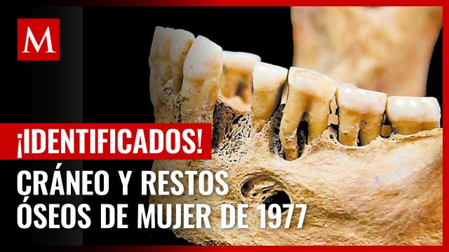 Identifican un cráneo y restos óseos de una mujer asesinada de 1977 en California