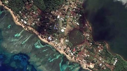 L'éruption du volcan aux îles Tonga : des conséquences désastreuses pour le secteur agricole