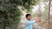 Sarim Ali in orange fields and many many goats are going near him | Sarim Ali school baby | Sarim Ali vlog | vlog in district Layyah | sarimshahid | صارف علی جب مالٹا کے کھیت میں گیا تو پاس سے بیڑیاں کا ریور گزرا۔
