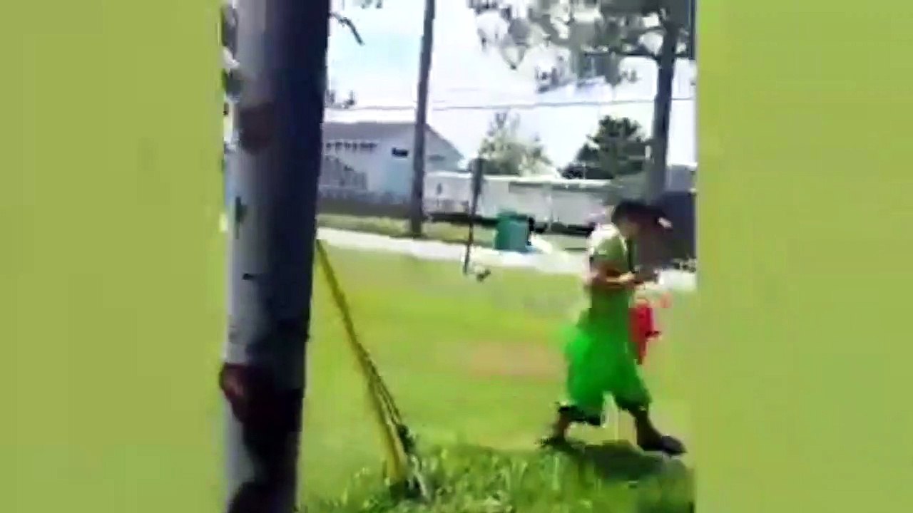 sudden reactions animals compilation