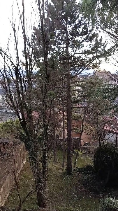 Fort de La Bastille  Grenoble 2022  #France (36)