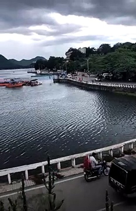 Udaipur FS views