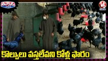 Engineering Students Starts Kadaknath Chicken Poultry Farm In Kashmir _  V6 Teenmaar