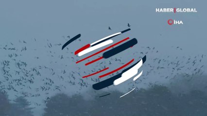 Tipiye yakalanan kuşların zor anları