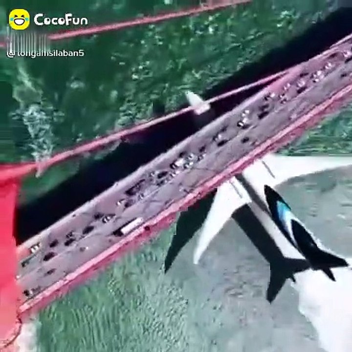 fun video IV