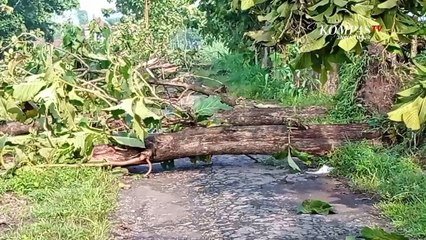 Puluhan Rumah di Madiun Rusak Diterjang Angin Kencang