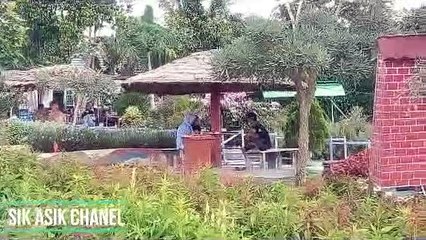 Taman bunga Desa sumber mulya. celosia