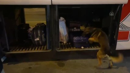 Valizinde uyuşturucu bulunan kadın yolcu tutuklandı