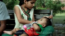 Girl feeding infant with a milk bottle