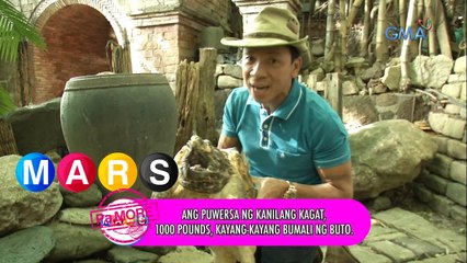 Mars Pa More: Kuya Kim’s amazing trivia about turtles and tortoises