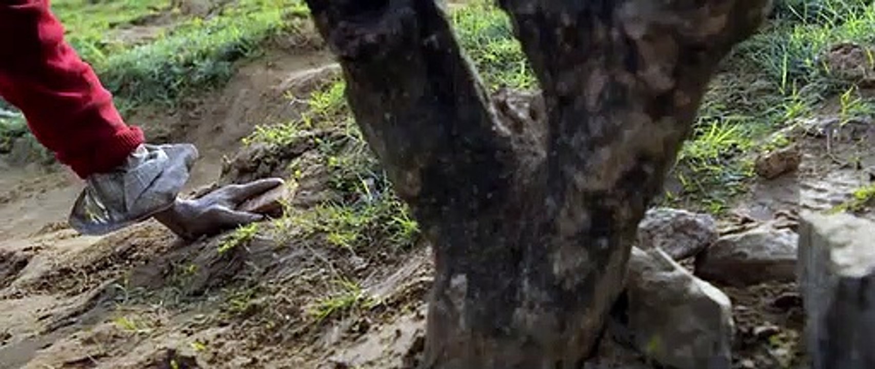 Minnal Murali (2021)  Part 1