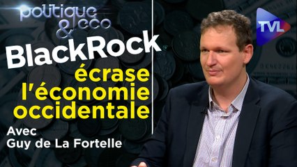 Politique & Eco n°327 avec Guy de La Fortelle - BlackRock : la nébuleuse du scandale (1ère partie)