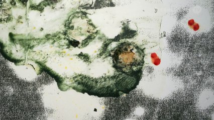 Michael Günzburger: Now Let It Unfold / Galerie Haas Zürich