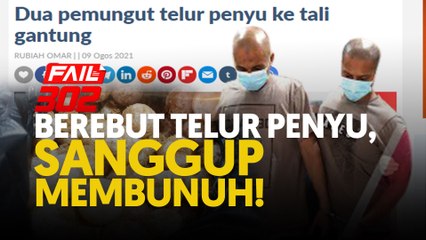 Berebut telur penyu, sanggup membunuh!