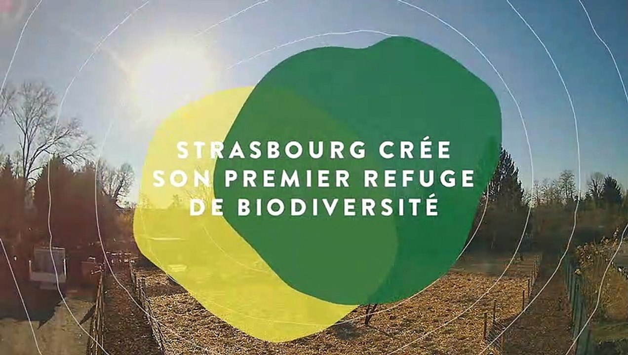Refuge de biodiversité