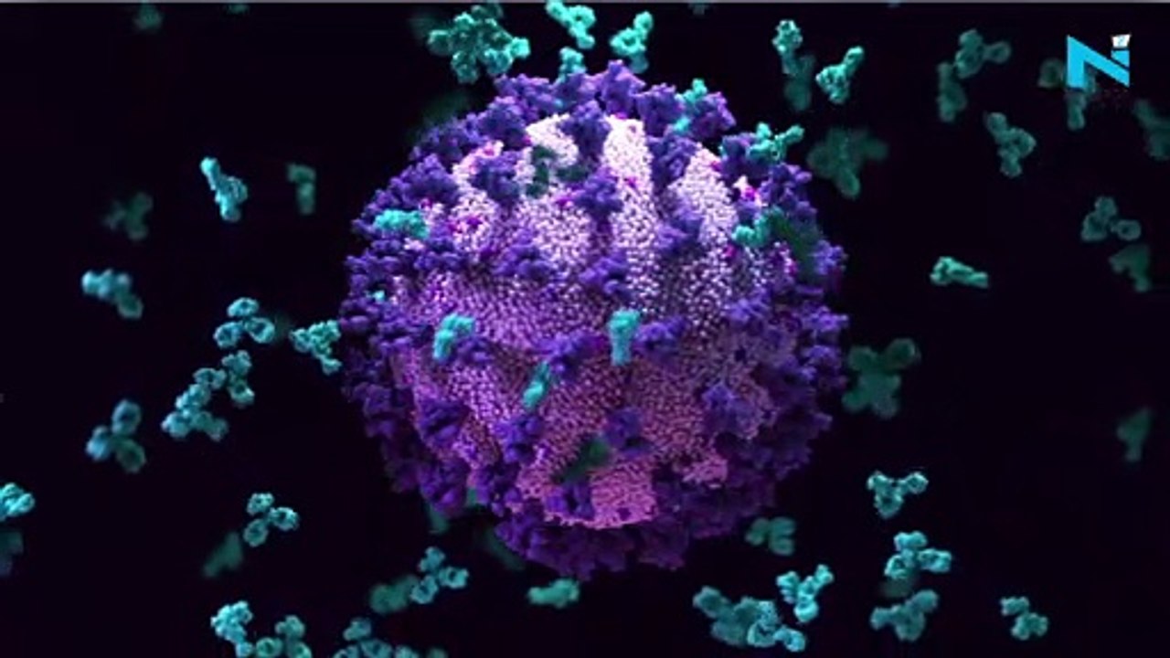 India’s Omicron tally at 8,209, Maharashtra with most number of cases