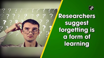 Researchers suggest forgetting is a form of learning
