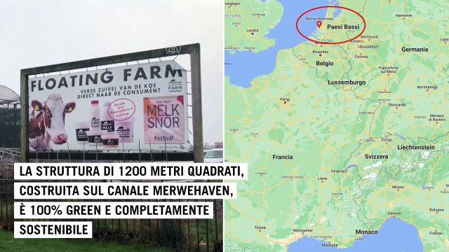 Paesi Bassi, a Rotterdam nasce la floating farm : la prima fattoria galleggiante al mondo