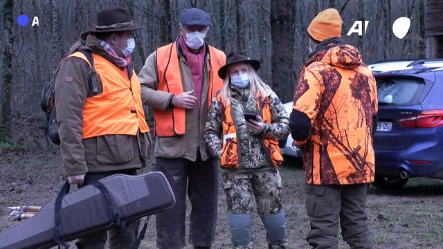 Dans une forêt communale de l'Yonne, les chasseurs doivent partager la forêt