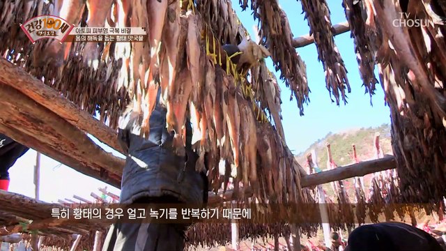 ‘아토피 피부염’을 극복한 주인공의 요리비법! TV CHOSUN 220117 방송