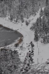 Kar altındaki Abant'ı binlerce doğa tutkunu ziyaret etti