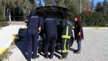 YAVRU KEDİYİ ARACIN MOTORUNDAN ÇIKARMAK İÇİN KEDİ SESİ DİNLETTİLER