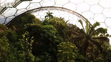 एक छत के नीचे पूरा जंगल