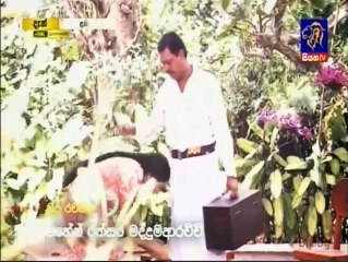 Labendiye (80) 17-01-2022