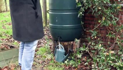 أشهر "مدينة أشباح" بلجيكية مصممة على النهوض مجددا