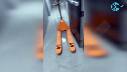 Caza de brujas en el pabellón 'progre' de España tras revelar OKDIARIO el vídeo de su inundación