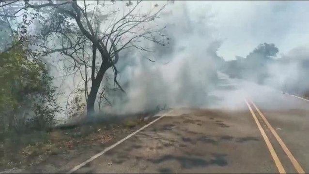 ext-incendio-forestal-170122