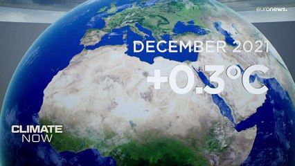 ¿Qué efectos ha tenido la erupción del volcán de La Palma en el cambio climático?