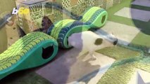 Cat Compartments! Car Tires Recycled as Mobile Shelters for Cats in Cairo!