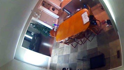 Owner Saves Puppy with Head Stuck in Treat Bucket