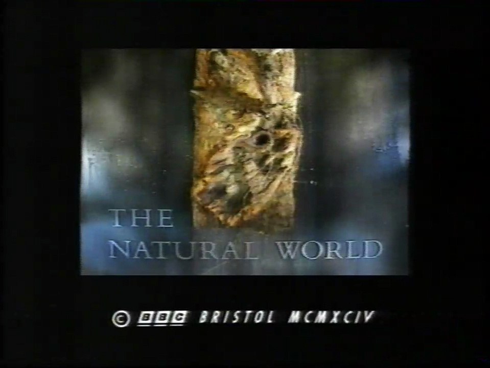 YLE TV1 Ohjelman Jälkeen, Tulevia Ohjelmia Syyskuu 1997 (jää kesken)