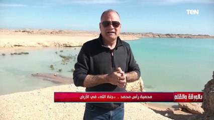 الديهي مندهشا من هذا المنظر: مجمع البحرين بمحمية رأس محمد يستحق أن يكون مقصدا للحجاج من كل العالم