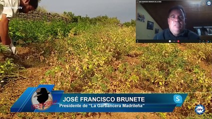 José F. Brunete: Garbanzo Madrileño es un orgullo Español, desde hace siglos, de los mejores del mundo