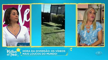Risada garantida com os melhores vídeos da internet no Melhor da Tarde. Confira!