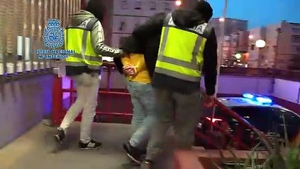 Detención del joven por presuntamente agredir a un jugador en el campo del Betis.