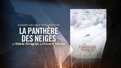La Panthère des Neiges, prix du Meilleur Film Documentaire - Lumières 2022