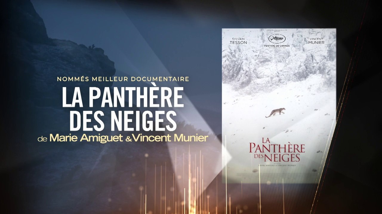 La Panthère des Neiges, prix du Meilleur Film Documentaire - Lumières 2022