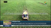 teleSUR Noticias 15:30 17-01: Ola de calor afecta producción agrícola en Argentina
