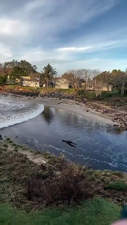 Tsunami Surge Wave in Oregon