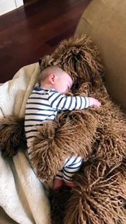 A cozy cuddle on another dreary day