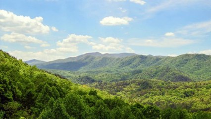 A Fun Life in the Mountains Dr. Robert Ownby