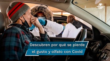 Un estudio da pistas sobre la pérdida de olfato y gusto en personas con Covid-19